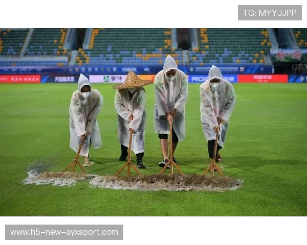 广州防守轮转积极